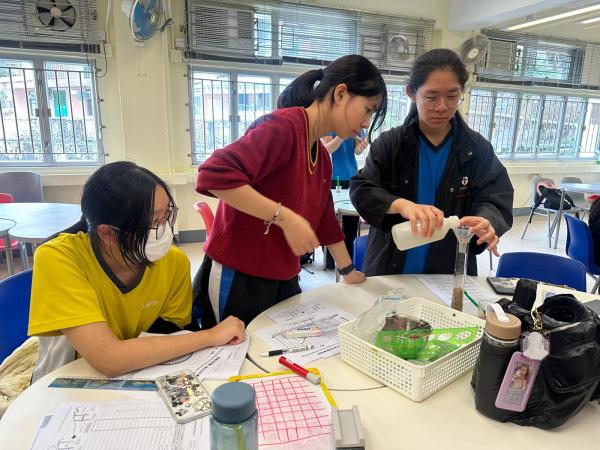 Conducted laboratory work on beach  sediments