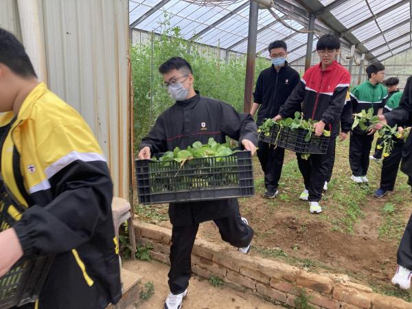Collected crop residues for making compost