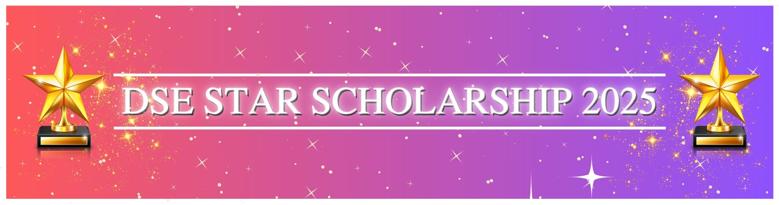 DSE Star Scholarship 2025